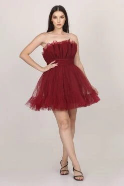 Caspian Tulle Mini Dress In Astro Red 23 Caspian Tulle Mini Dress In Astro Red -Laceand Beads 005A0177