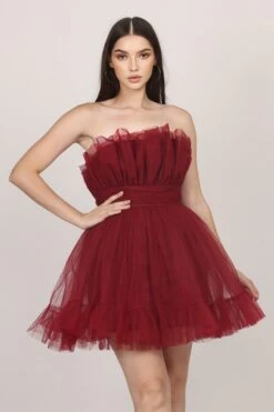 Caspian Tulle Mini Dress In Astro Red 18 Caspian Tulle Mini Dress In Astro Red -Laceand Beads 005A0177resized