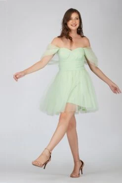 Sydney Sage Green Tulle Mini Dress 11 Sydney Sage Green Tulle Mini Dress -Laceand Beads 19 4 f2e3d514 1a18 446c 8e5c d8791f2b78a9
