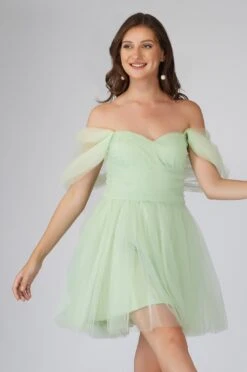 Sydney Sage Green Tulle Mini Dress 12 Sydney Sage Green Tulle Mini Dress -Laceand Beads 19 5 0fcb2eee c6f1 4f97 b294 d38006d3f52c