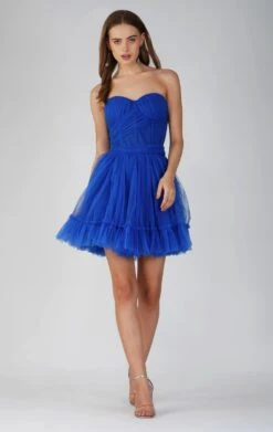 Lauren Cobalt Blue Tulle Mini Dress -Laceand Beads 2B9D7704 126A 439D 8AFC 1611EF08AD93