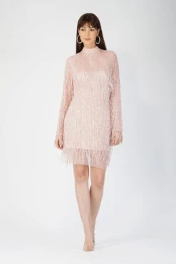 Elena Embellished Pink Tassel Mini Dress -Laceand Beads AliyaElena 1