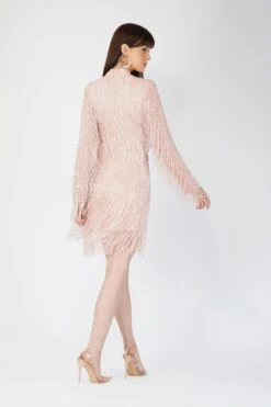 Elena Embellished Pink Tassel Mini Dress -Laceand Beads AliyaElena 5