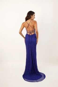 Allie Royal Blue Embellished Occasion Dress -Laceand Beads Allie 4 Copy