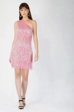 Athena Embellished Pink Fringe Mini Dress 31 Athena Embellished Pink Fringe Mini Dress -Laceand Beads Amarato 3 1