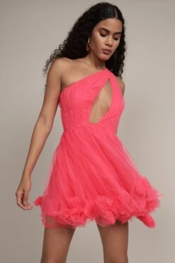 Aurelia Pink Pom Pom Mini Dress -Laceand Beads Aurelia Pink Pom Pom Mini Dress 7