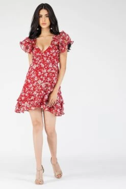 Fairy Printed Red Mini Dress -Laceand Beads Fairy 9