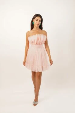 Nanita Tulle Mini Dress In Blush Pink 7 Nanita Tulle Mini Dress In Blush Pink -Laceand Beads L B1438 Copy