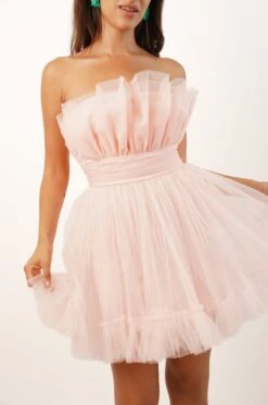 Nanita Tulle Mini Dress In Blush Pink