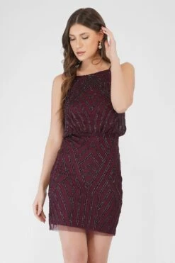 Mina Embellished Mini Dress In Burgundy