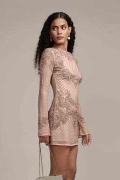 Nela Embellished Mini Dress In Mink