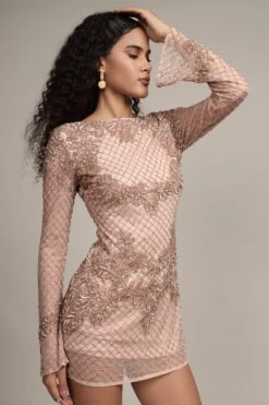 Nela Embellished Mini Dress In Mink -Laceand Beads NelaMiniin 9