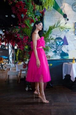 Nyra Tulle Top In Hot Pink 5 Nyra Tulle Top In Hot Pink -Laceand Beads NyraBrightPink 3