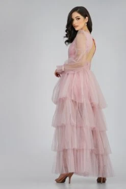 Salma Long Sleeve Tulle Maxi Dress In Pink
