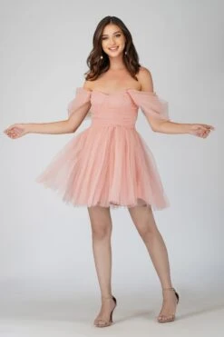 Sydney Light Pink Tulle Mini Dress 10 Sydney Light Pink Tulle Mini Dress -Laceand Beads sYDNEYMINI 2 Copy