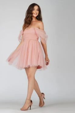 Sydney Light Pink Tulle Mini Dress 9 Sydney Light Pink Tulle Mini Dress -Laceand Beads sYDNEYMINI 4 Copy